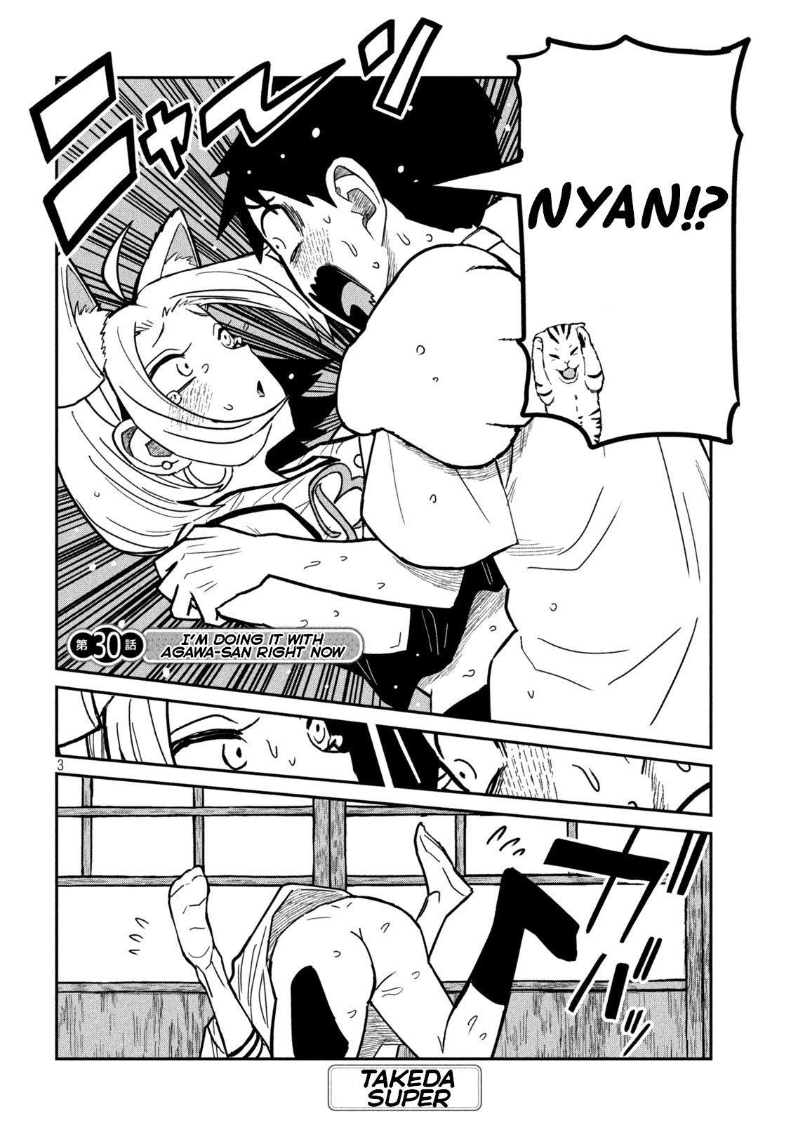 Page 3 of Chapter 30