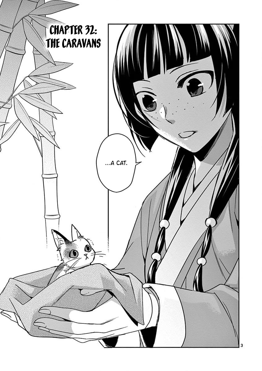 Page 3 of Chapter 32