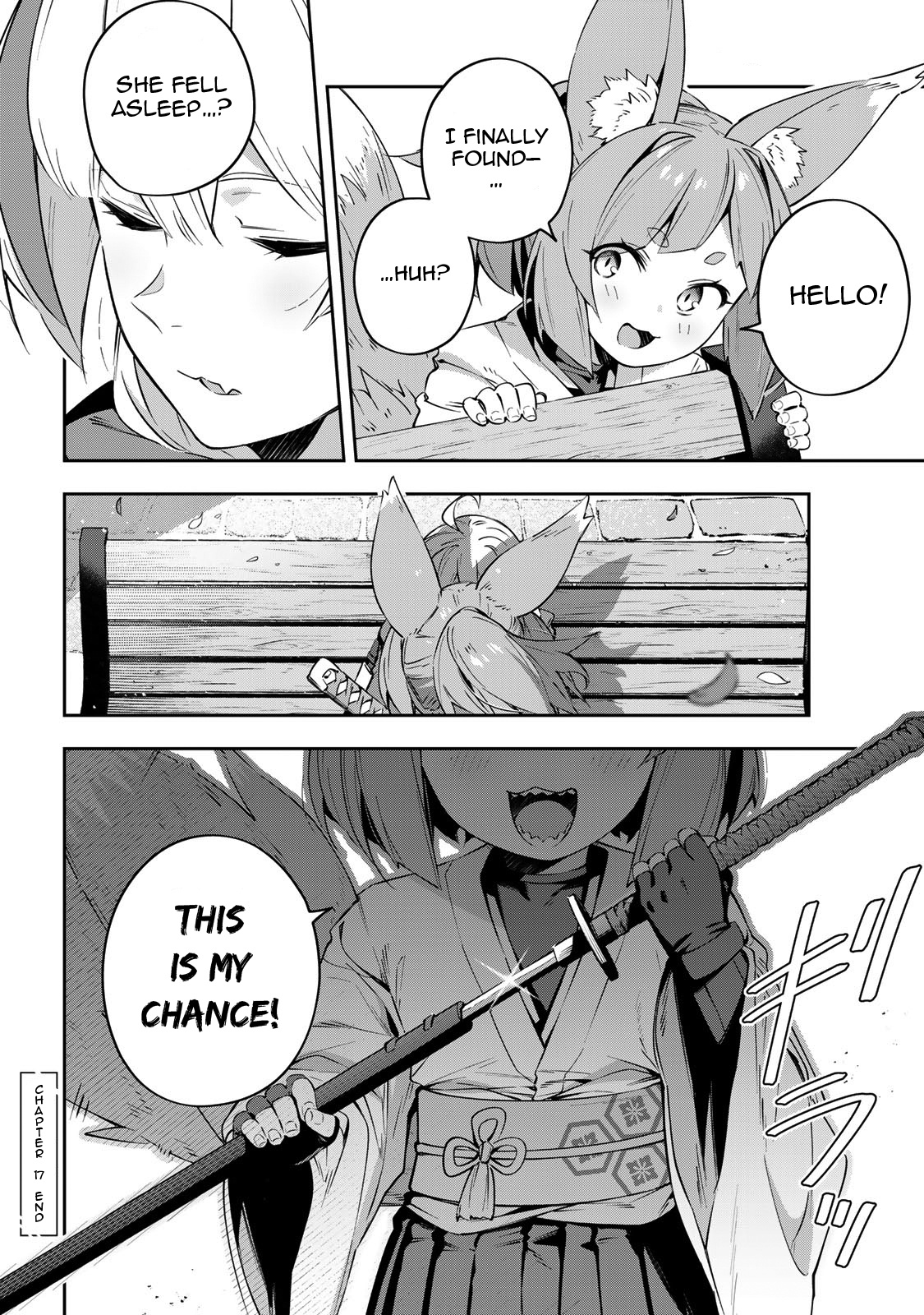 Page 15 of Chapter 17