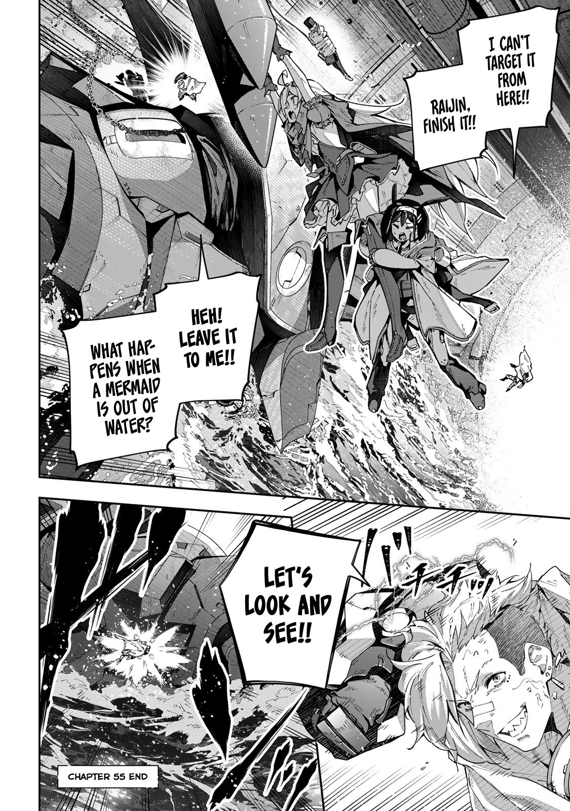 Page 17 of Chapter 55