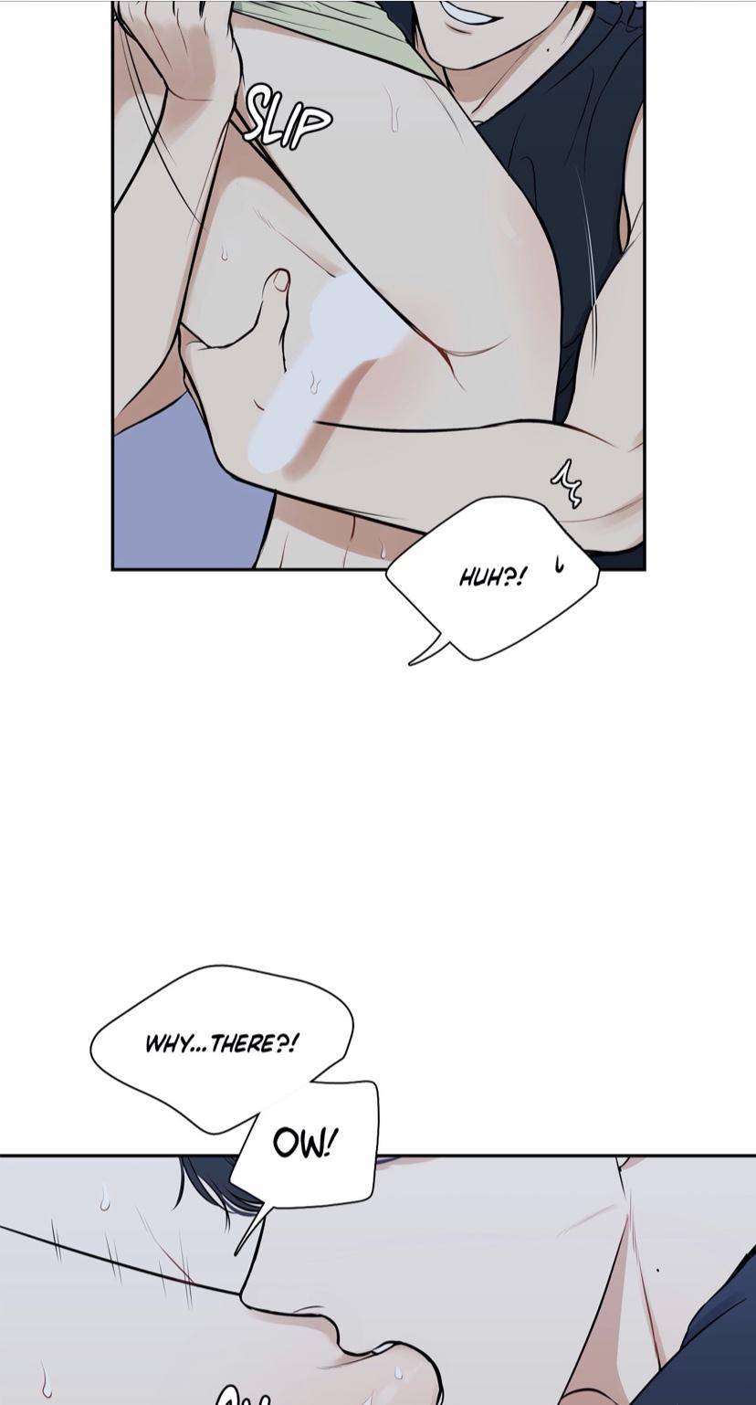 Page 13 of Chapter 95