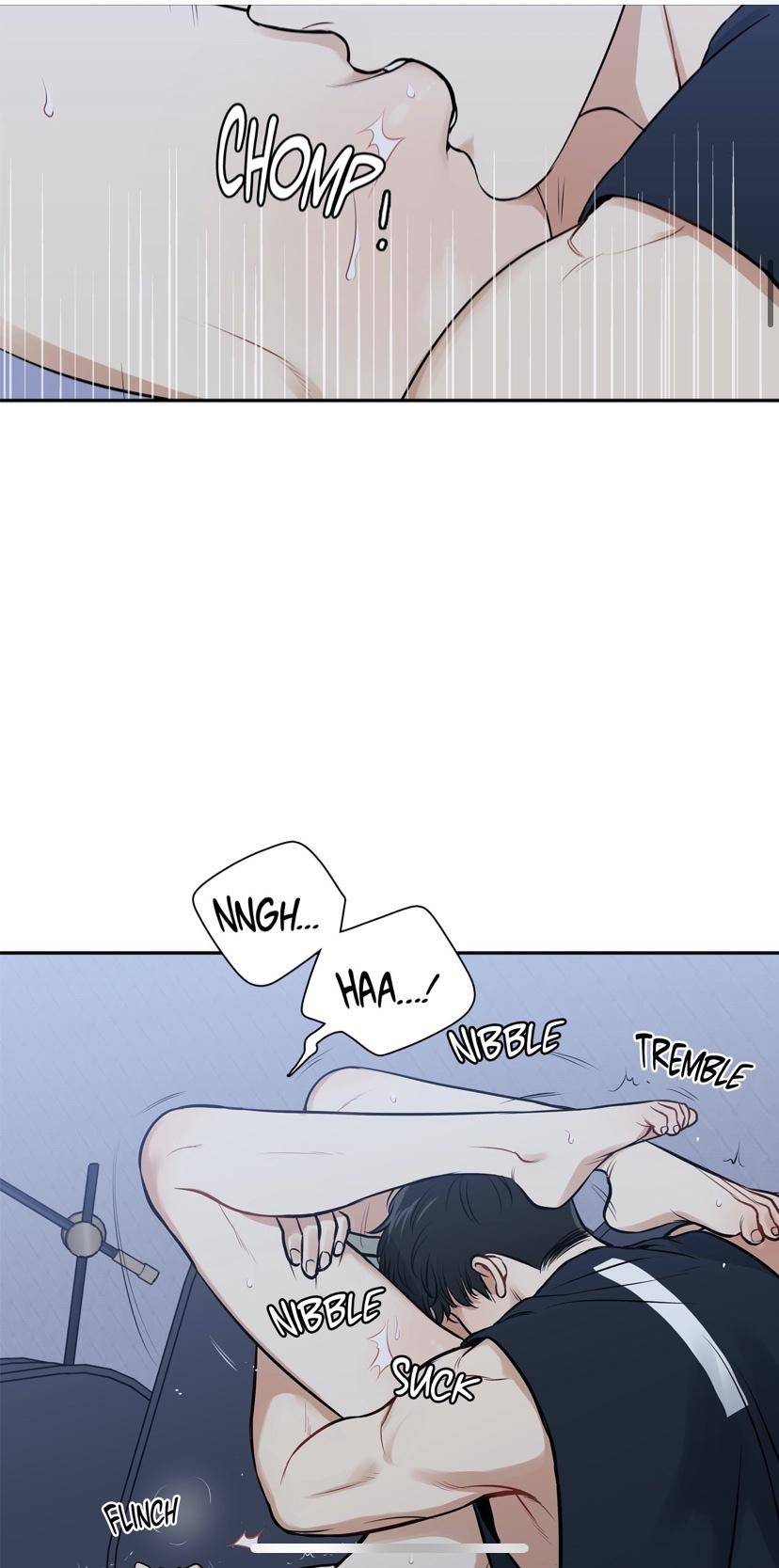 Page 14 of Chapter 95