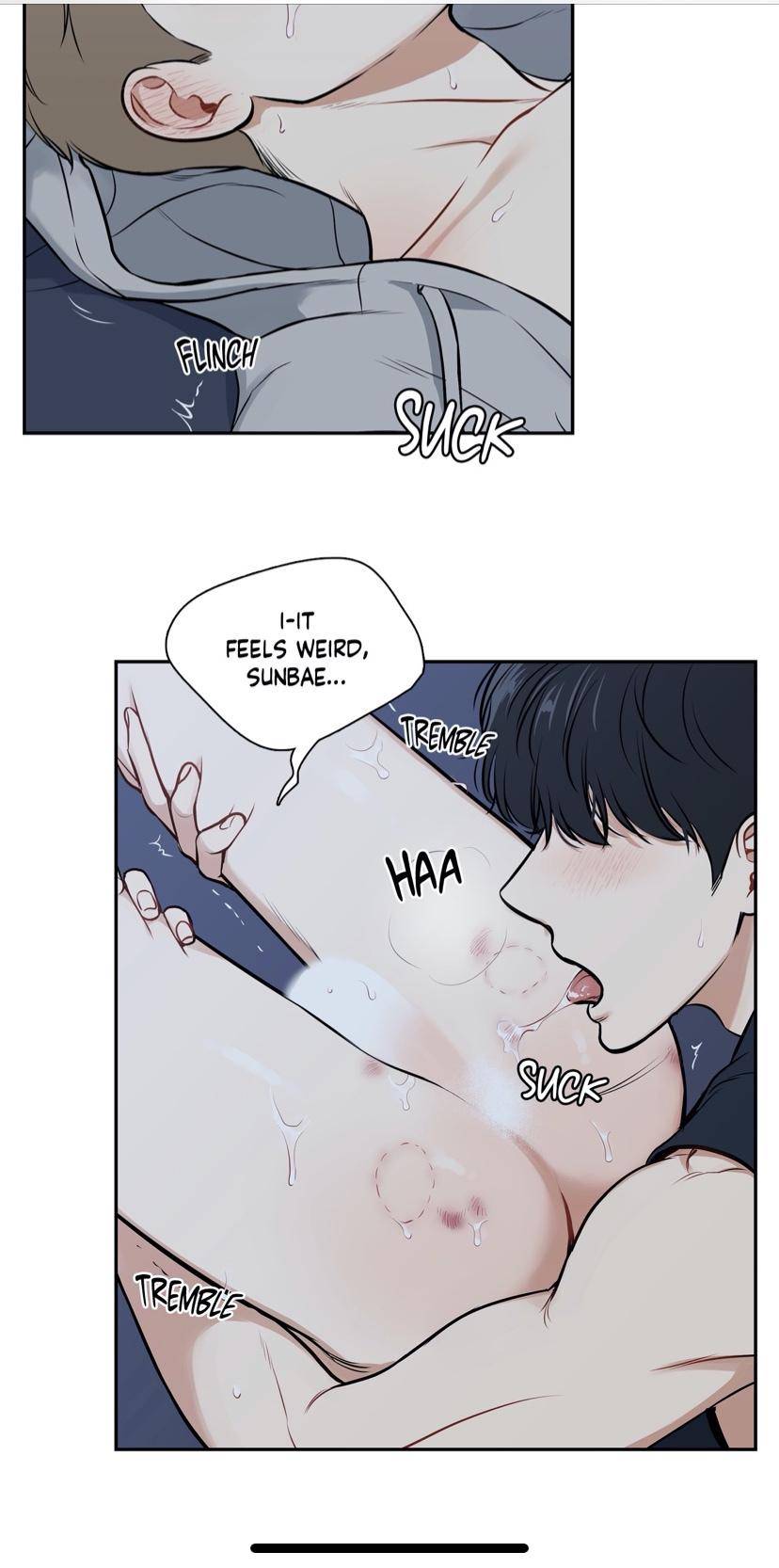 Page 16 of Chapter 95