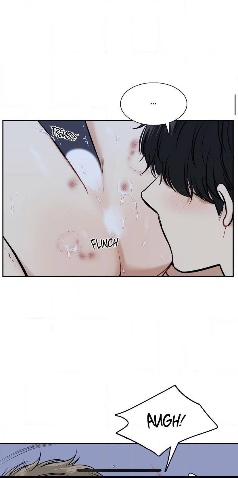Page 17 of Chapter 95