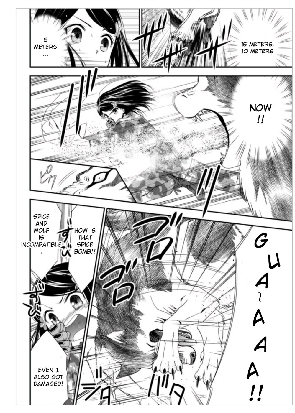 Page 17 of Chapter 2