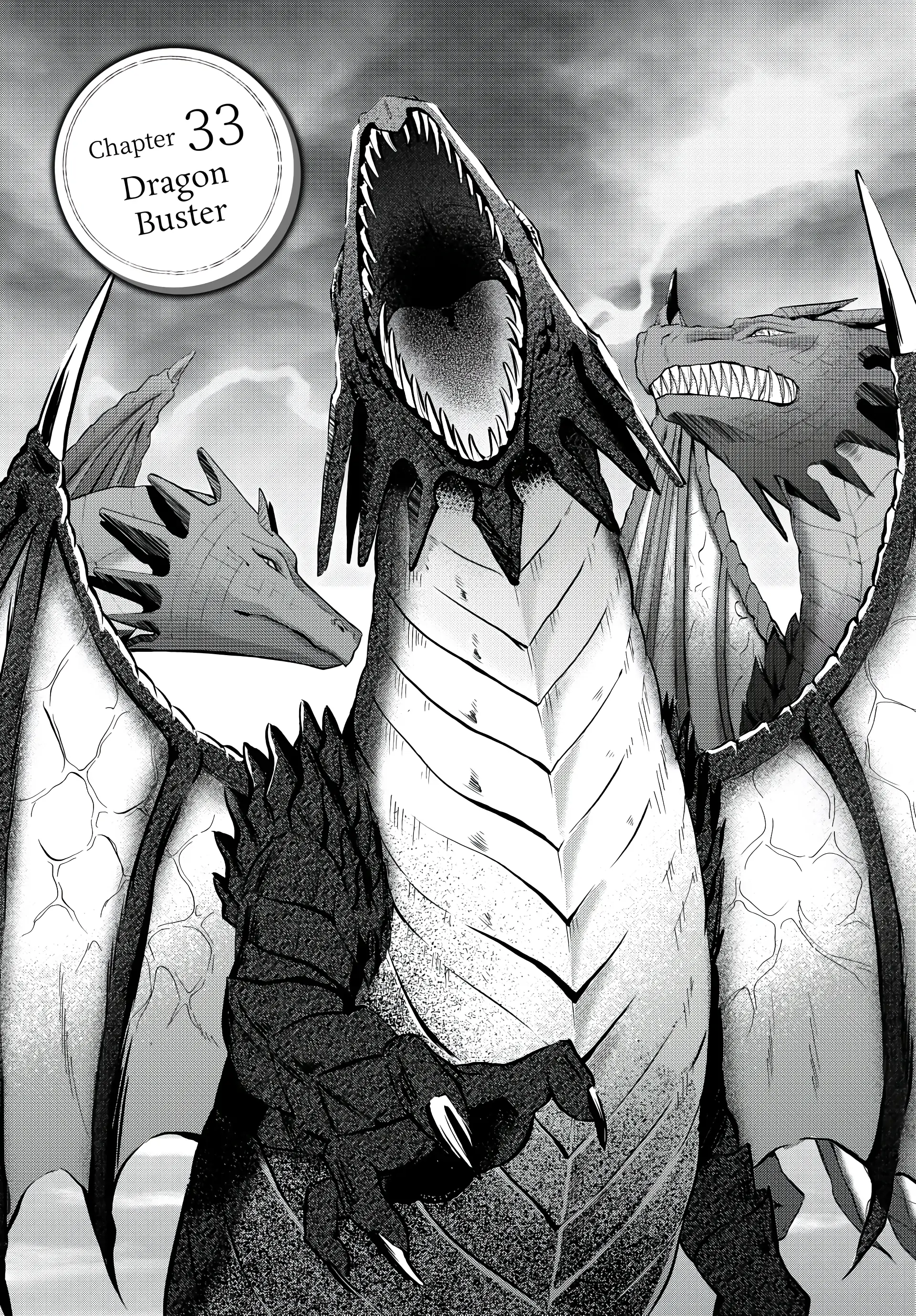 Page 3 of Chapter 33