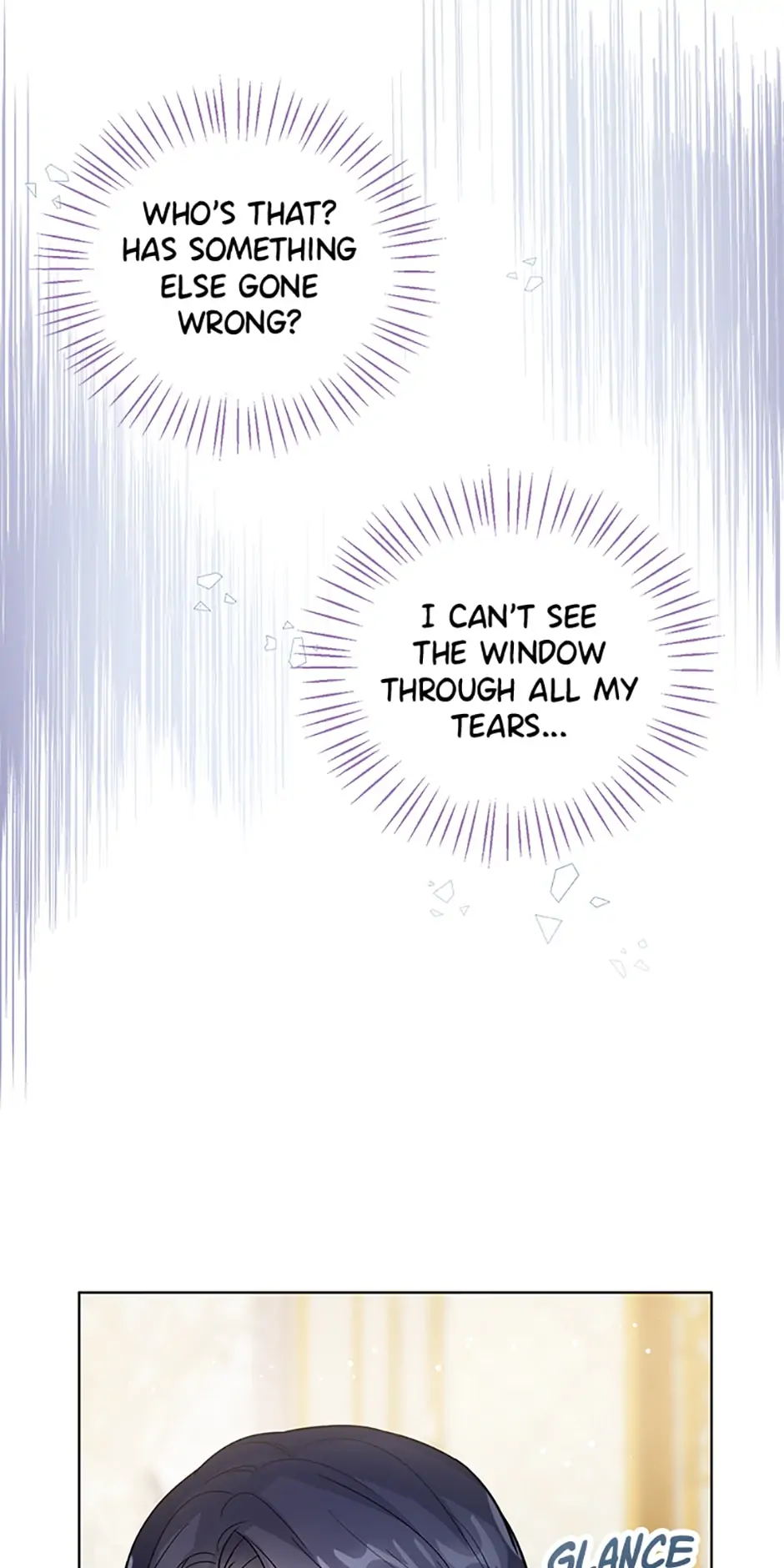 Page 17 of Chapter 13