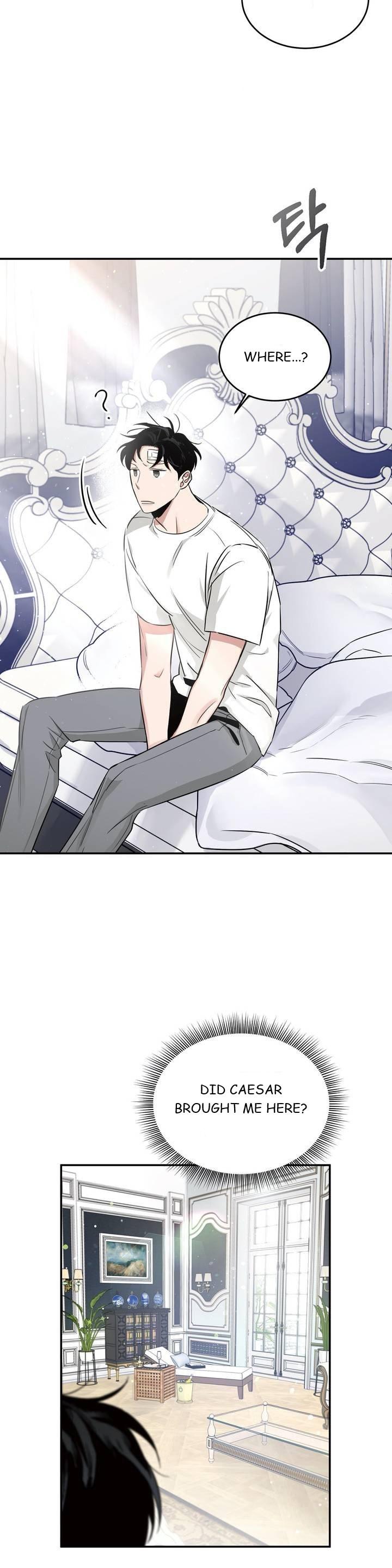 Page 13 of Chapter 17