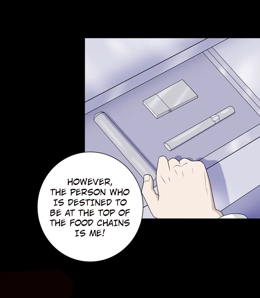 Page 43 of Chapter 135
