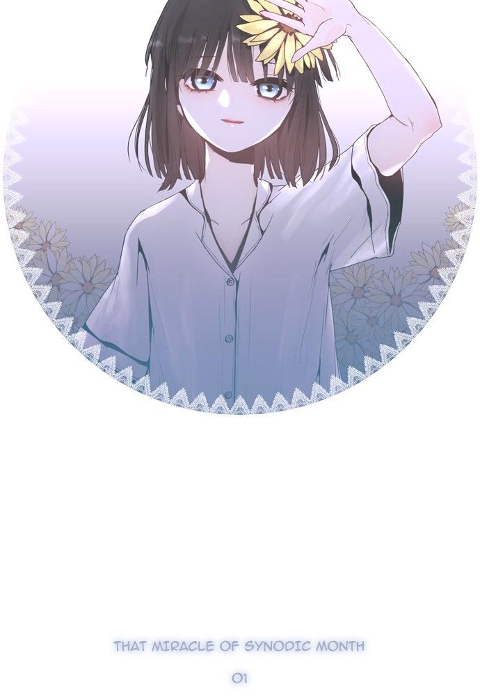 Page 19 of Chapter 153