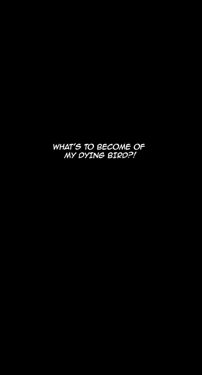 Page 44 of Chapter 181