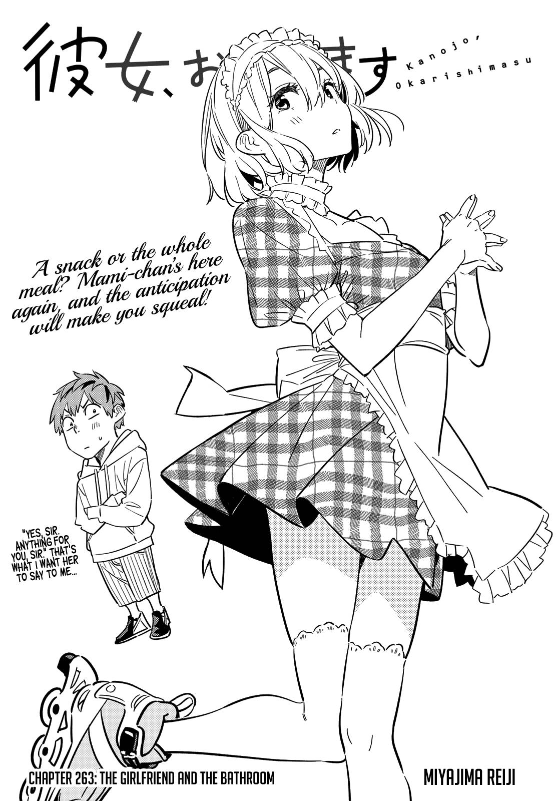 Page 3 of Chapter 263