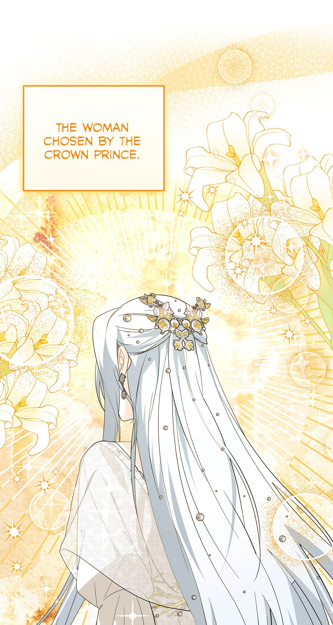 Page 24 of Chapter 17