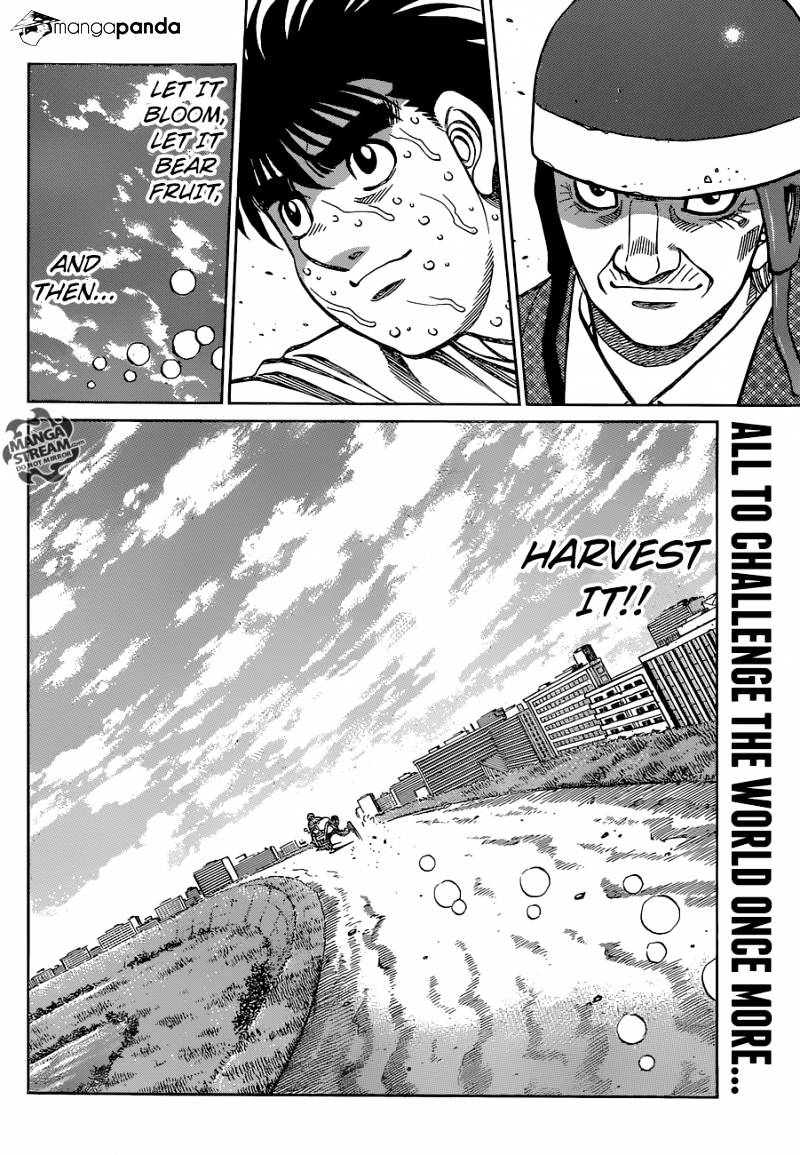 Page 17 of Chapter 1147