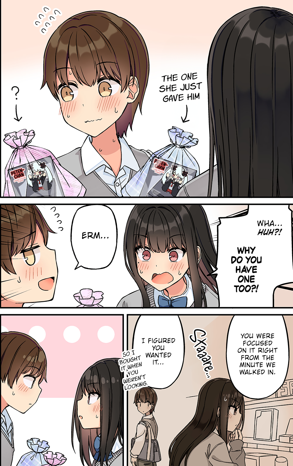 Page 4 of Chapter 204
