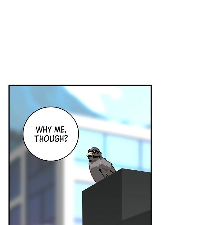 Page 21 of Chapter 61