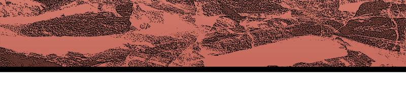 Page 28 of Chapter 173