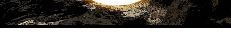 Page 33 of Chapter 193
