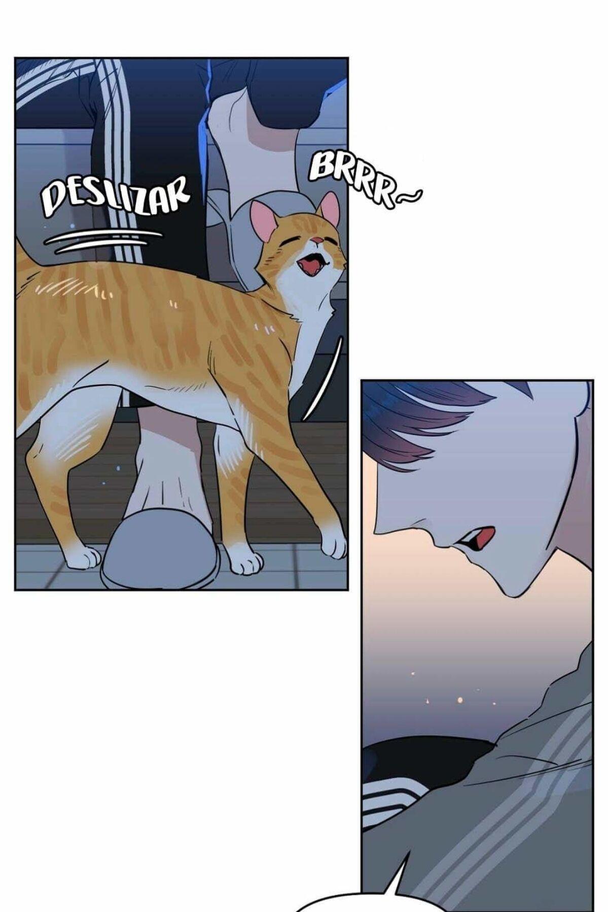 Page 2 of Chapter 38