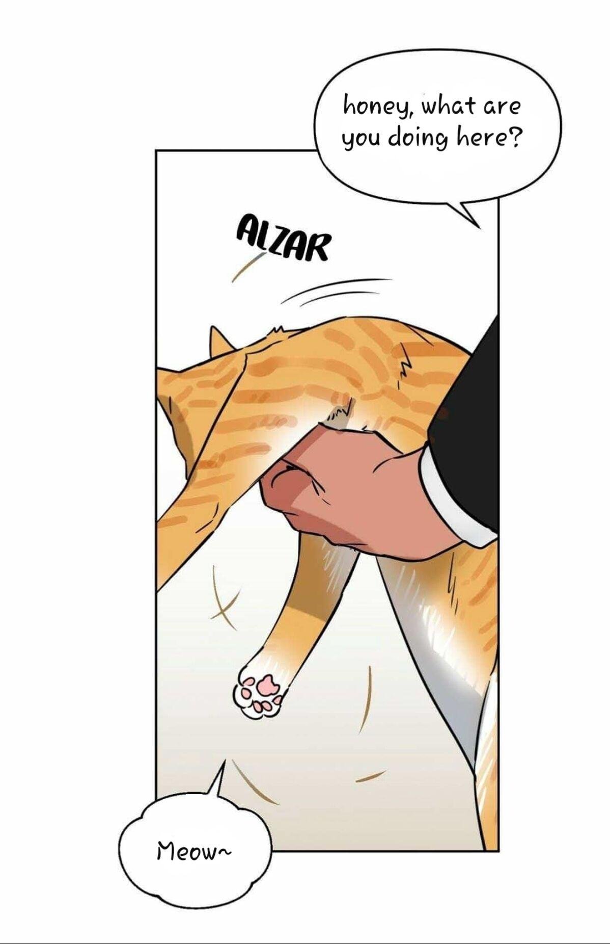 Page 17 of Chapter 38