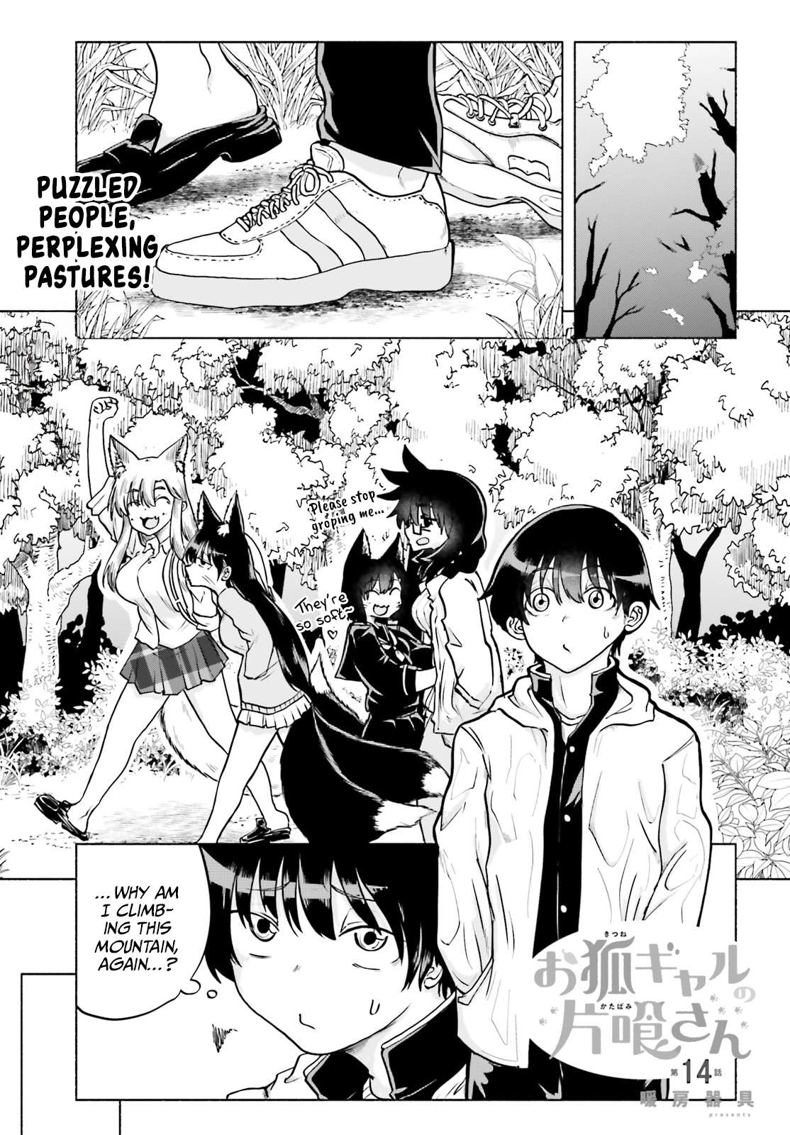Page 1 of Chapter 14