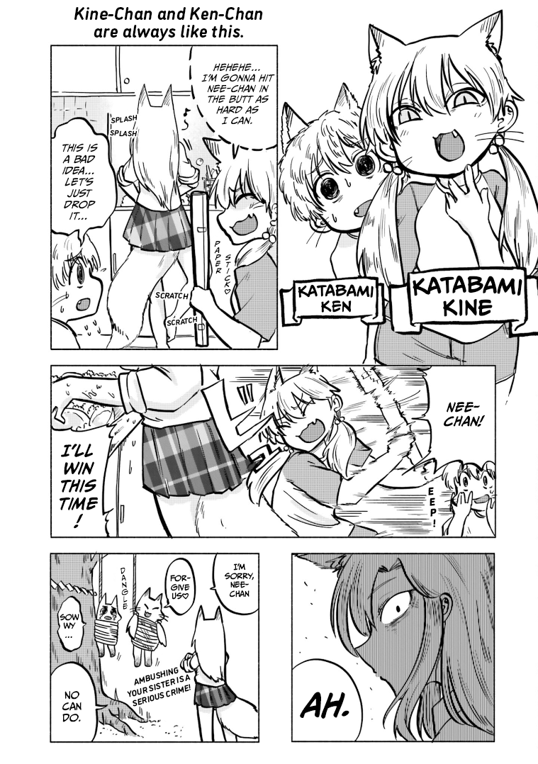 Page 2 of Chapter 8.5