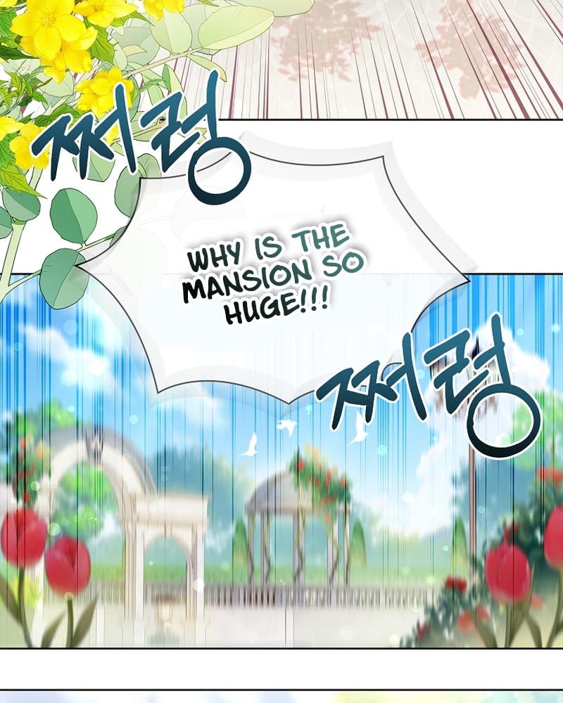 Page 62 of Chapter 3