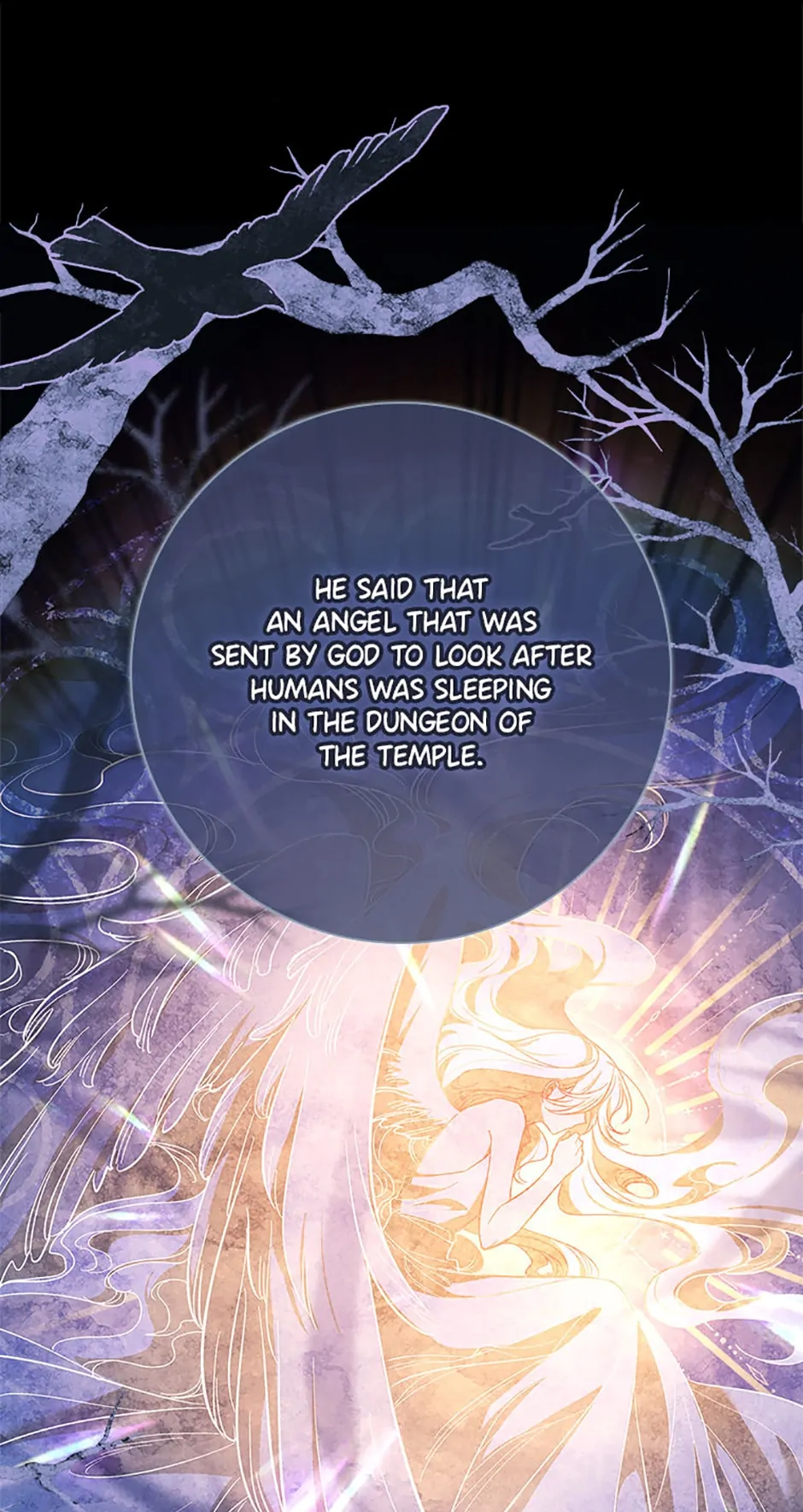 Page 74 of Chapter 41