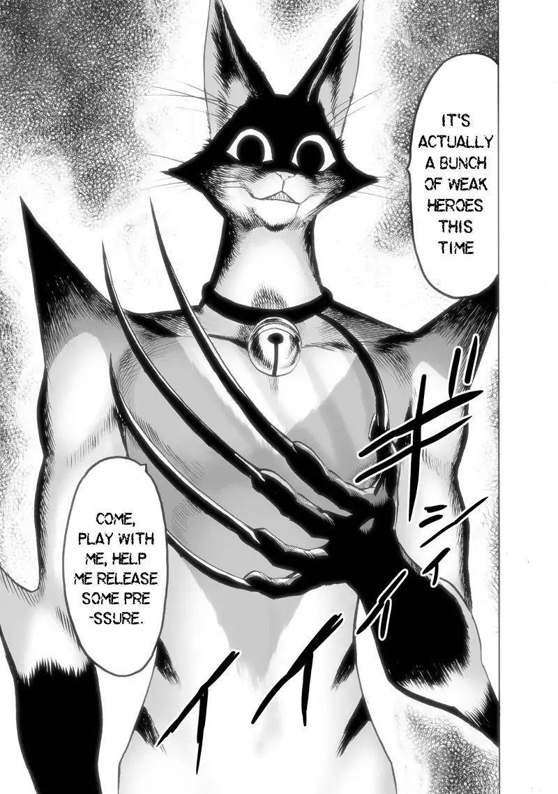 Page 13 of Chapter 116