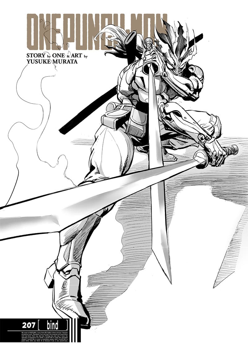 Page 1 of Chapter 207
