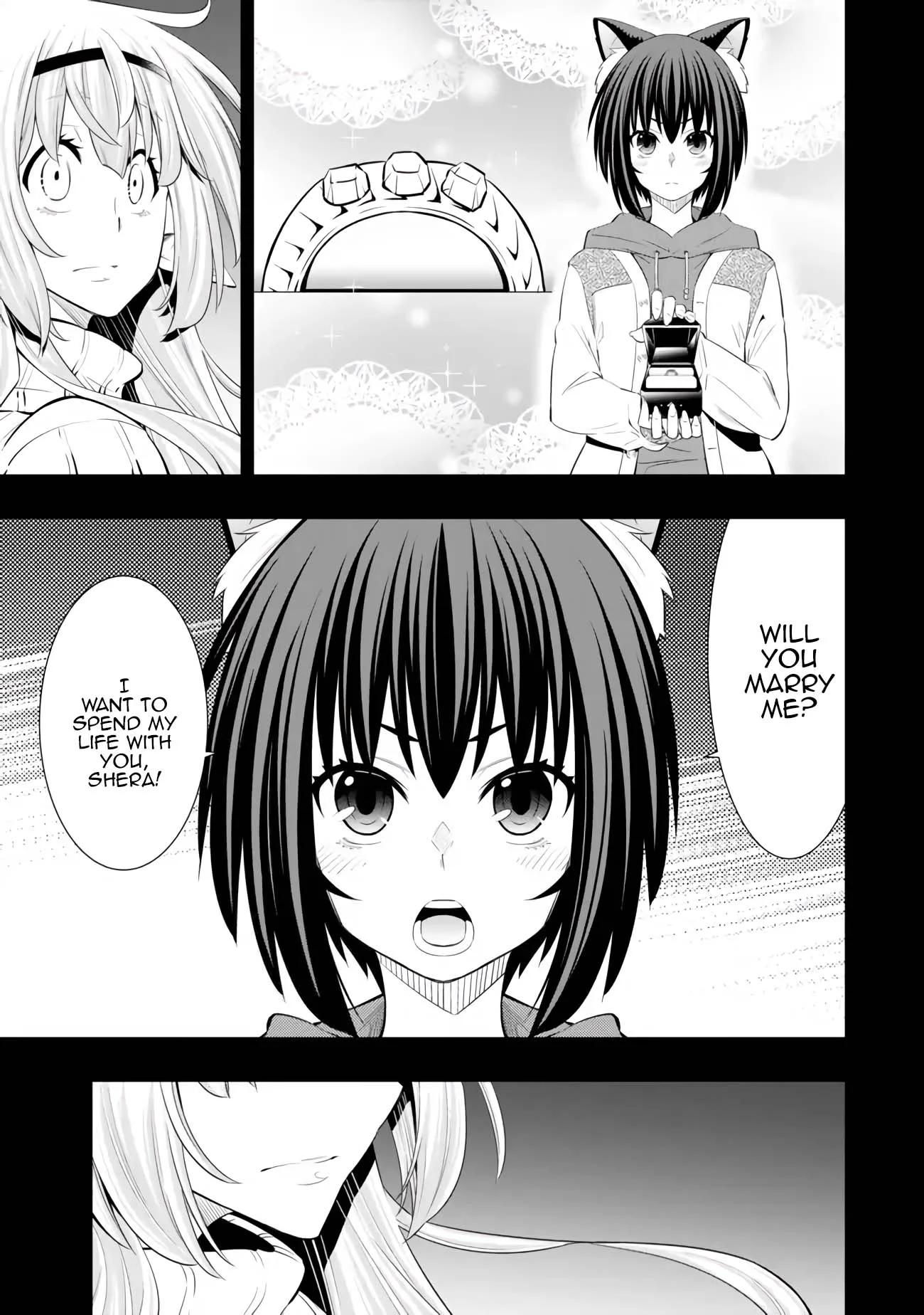 Page 4 of Chapter 109.1