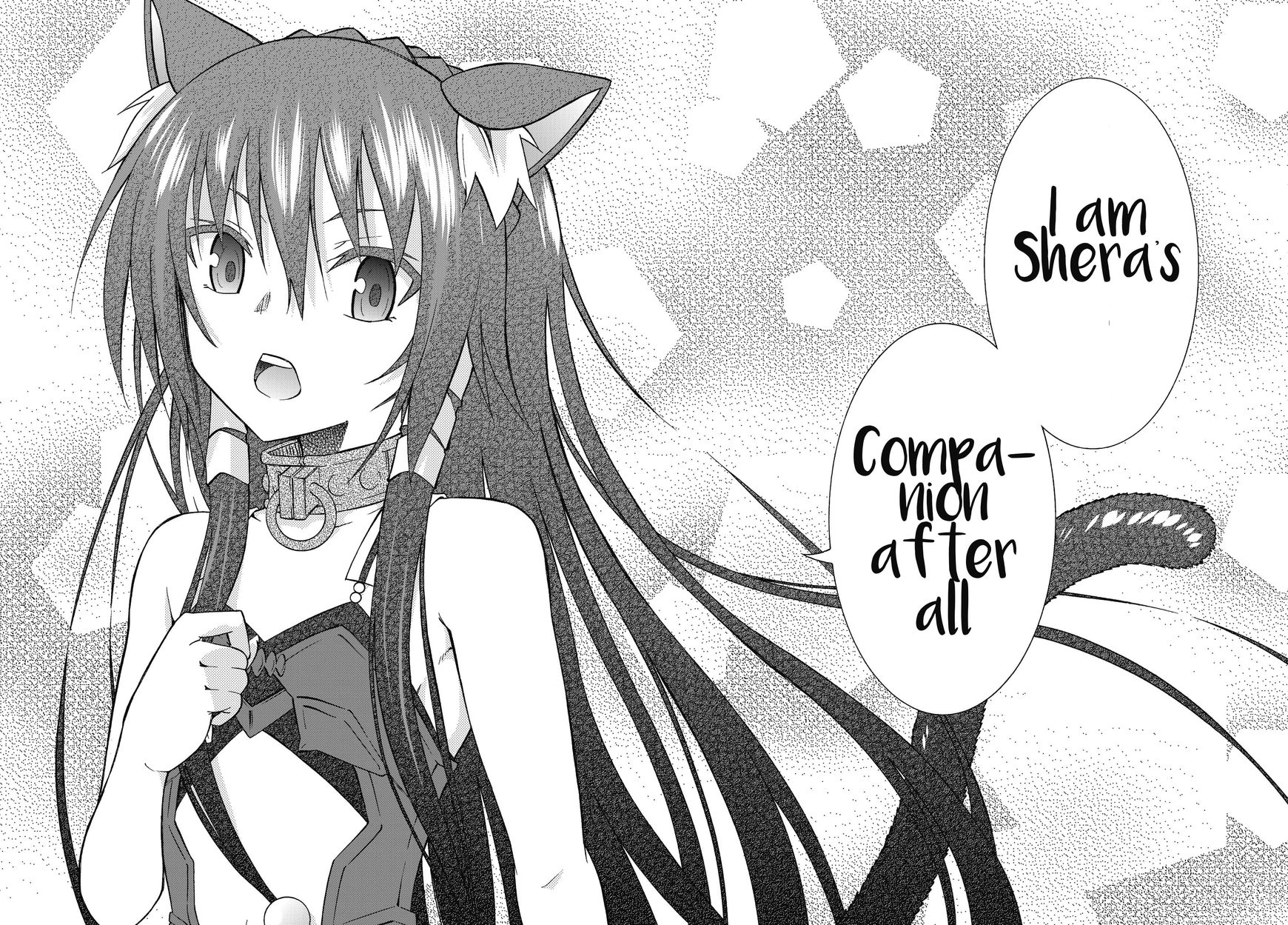 Page 12 of Chapter 17.2