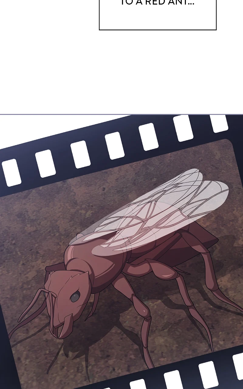 Page 52 of Chapter 210