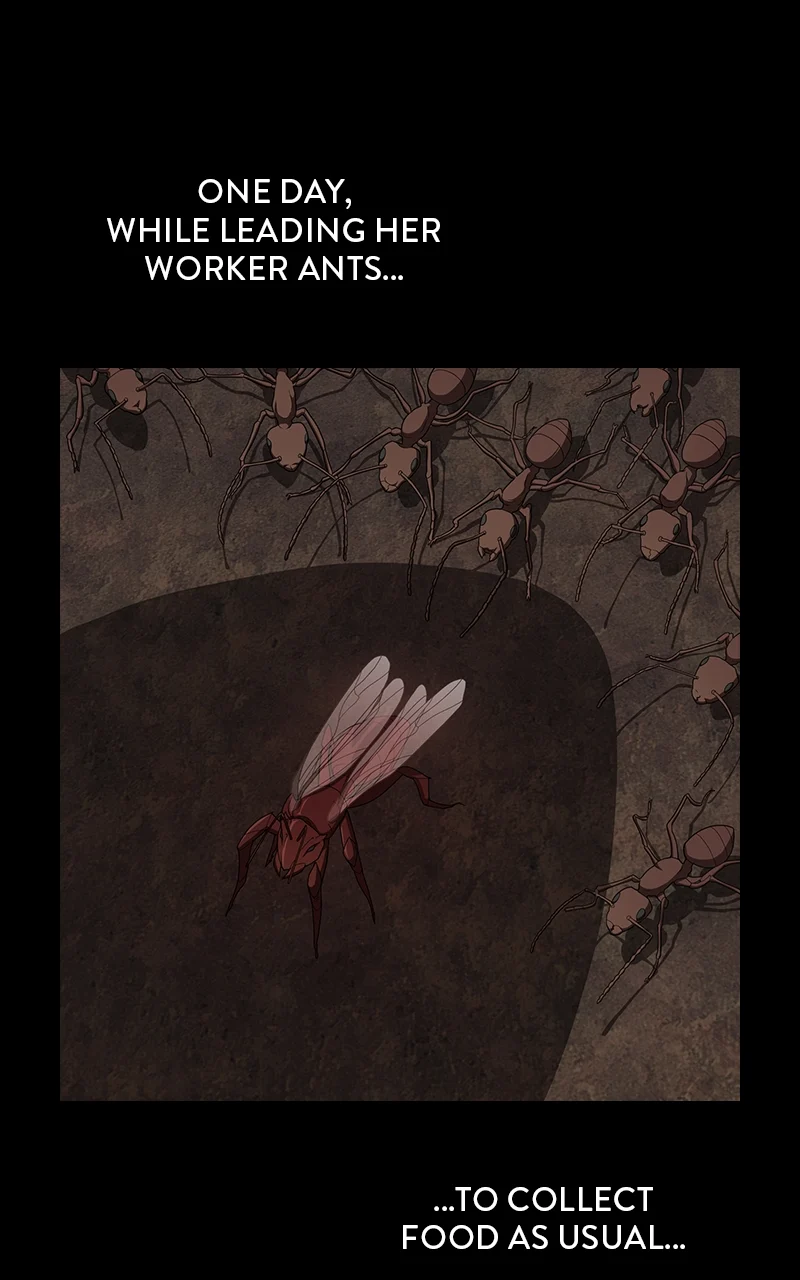 Page 59 of Chapter 210