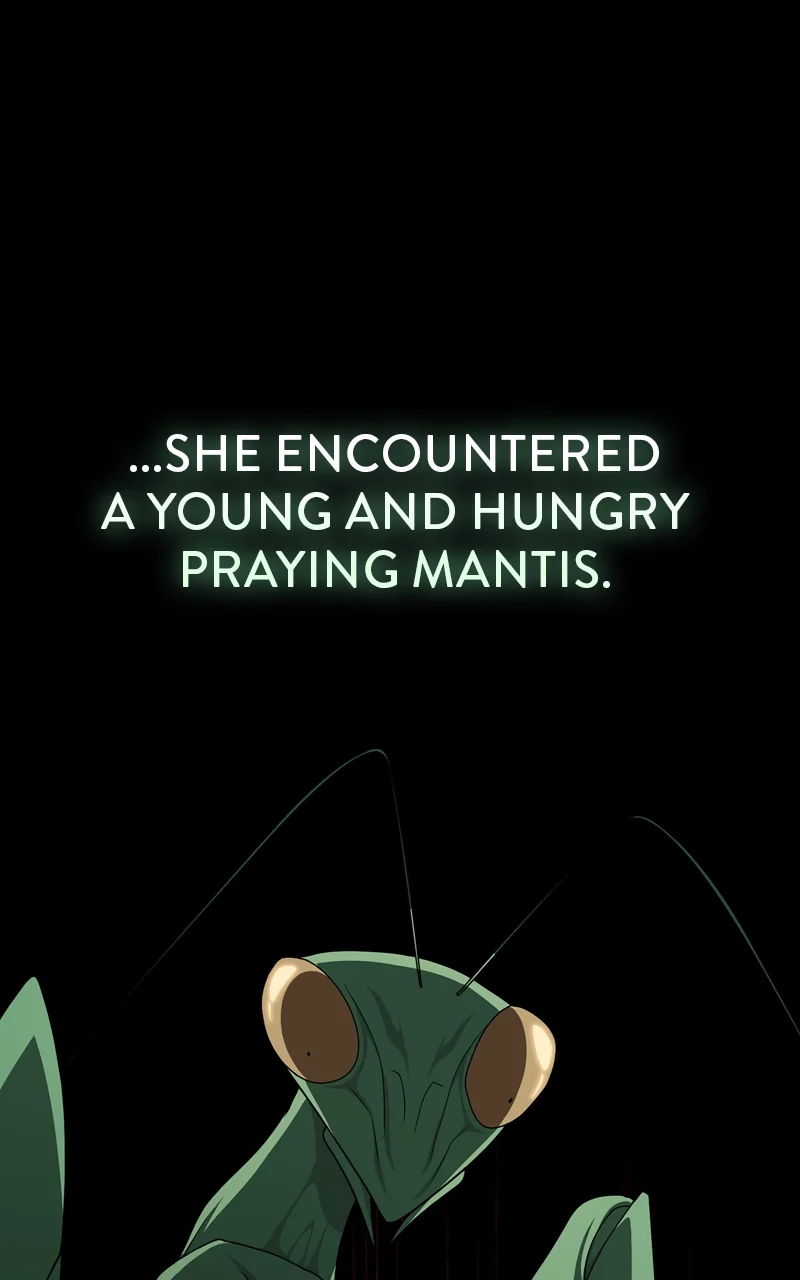 Page 61 of Chapter 210