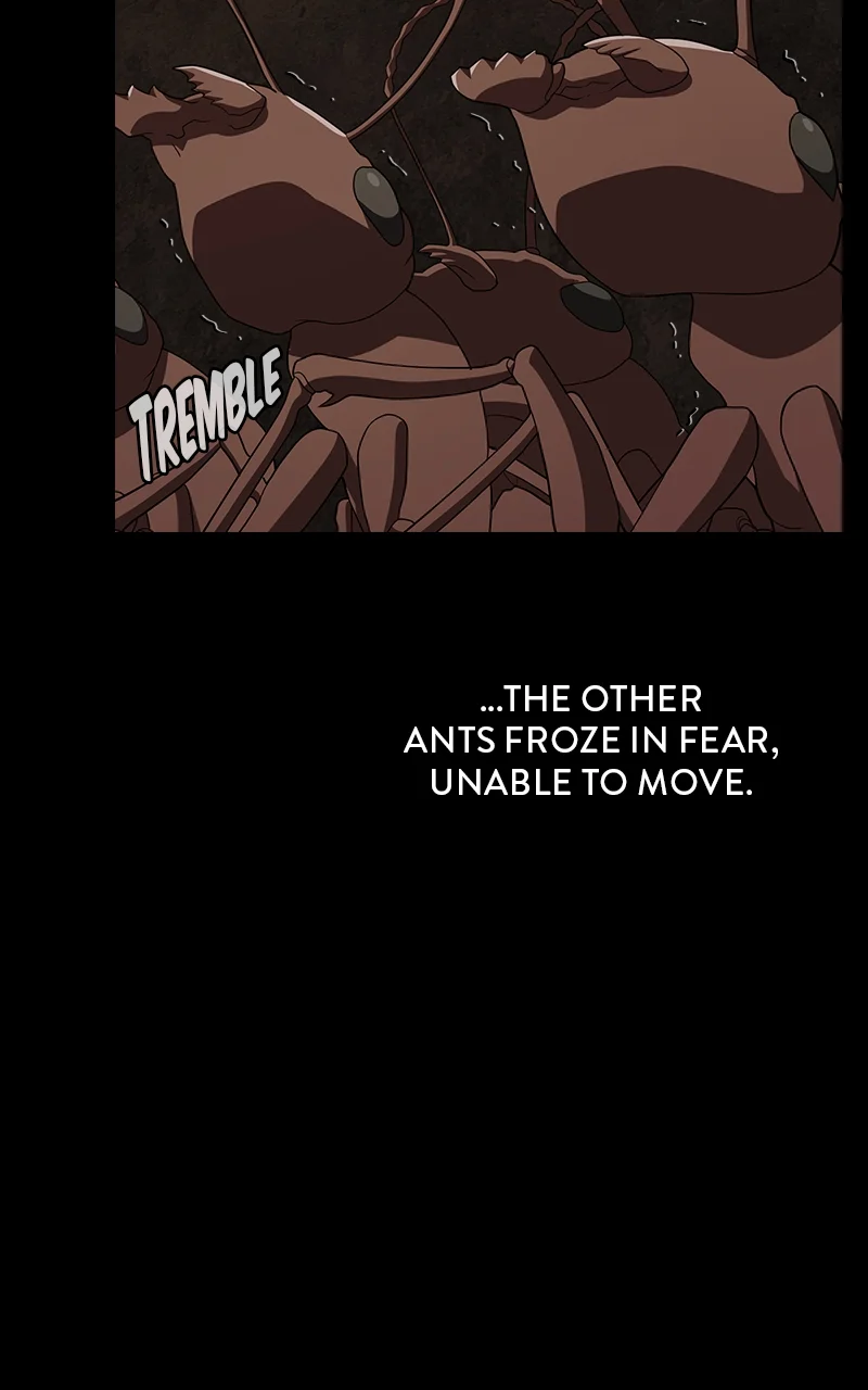Page 64 of Chapter 210