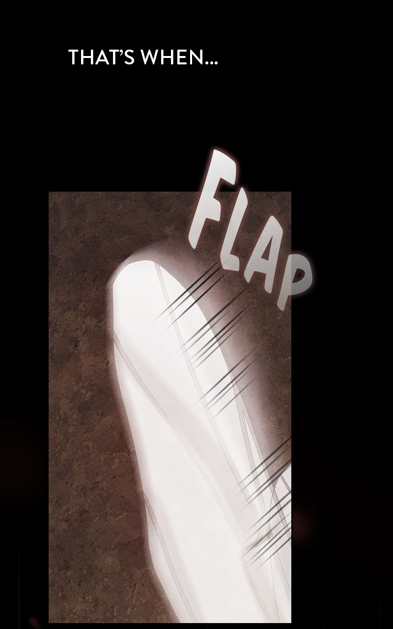 Page 65 of Chapter 210