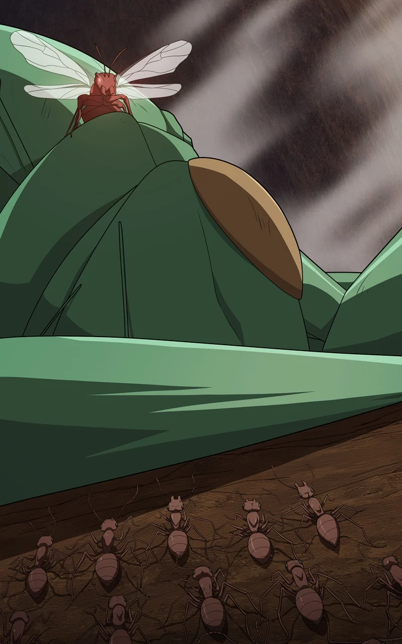 Page 73 of Chapter 210