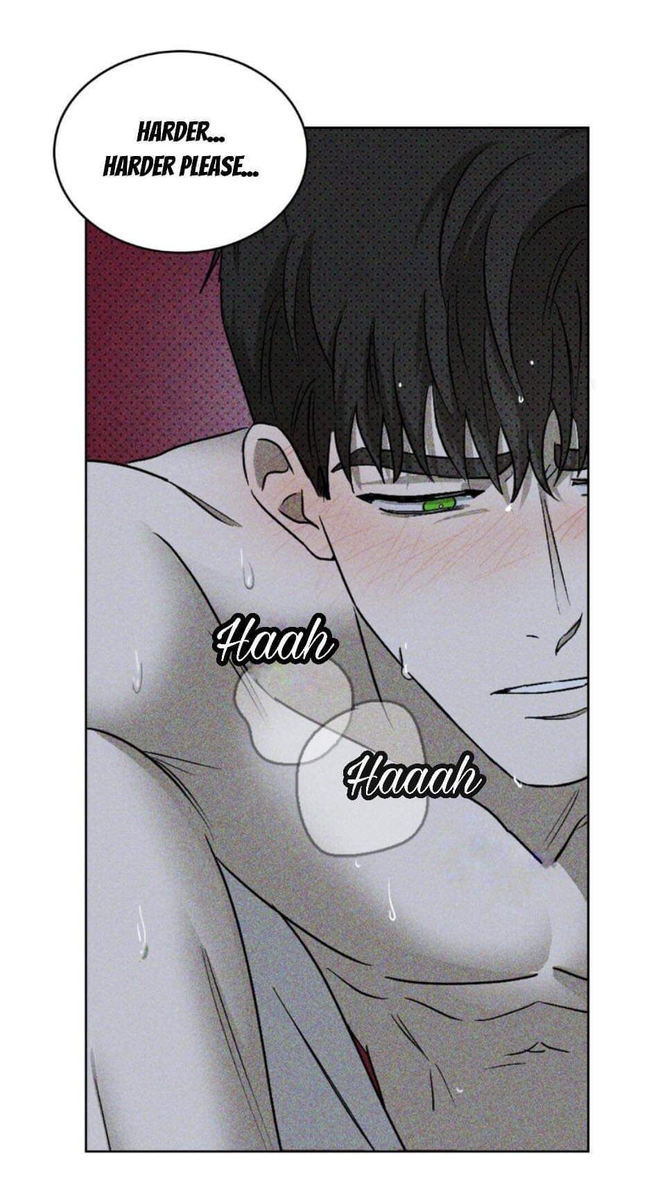 Page 20 of Chapter 15