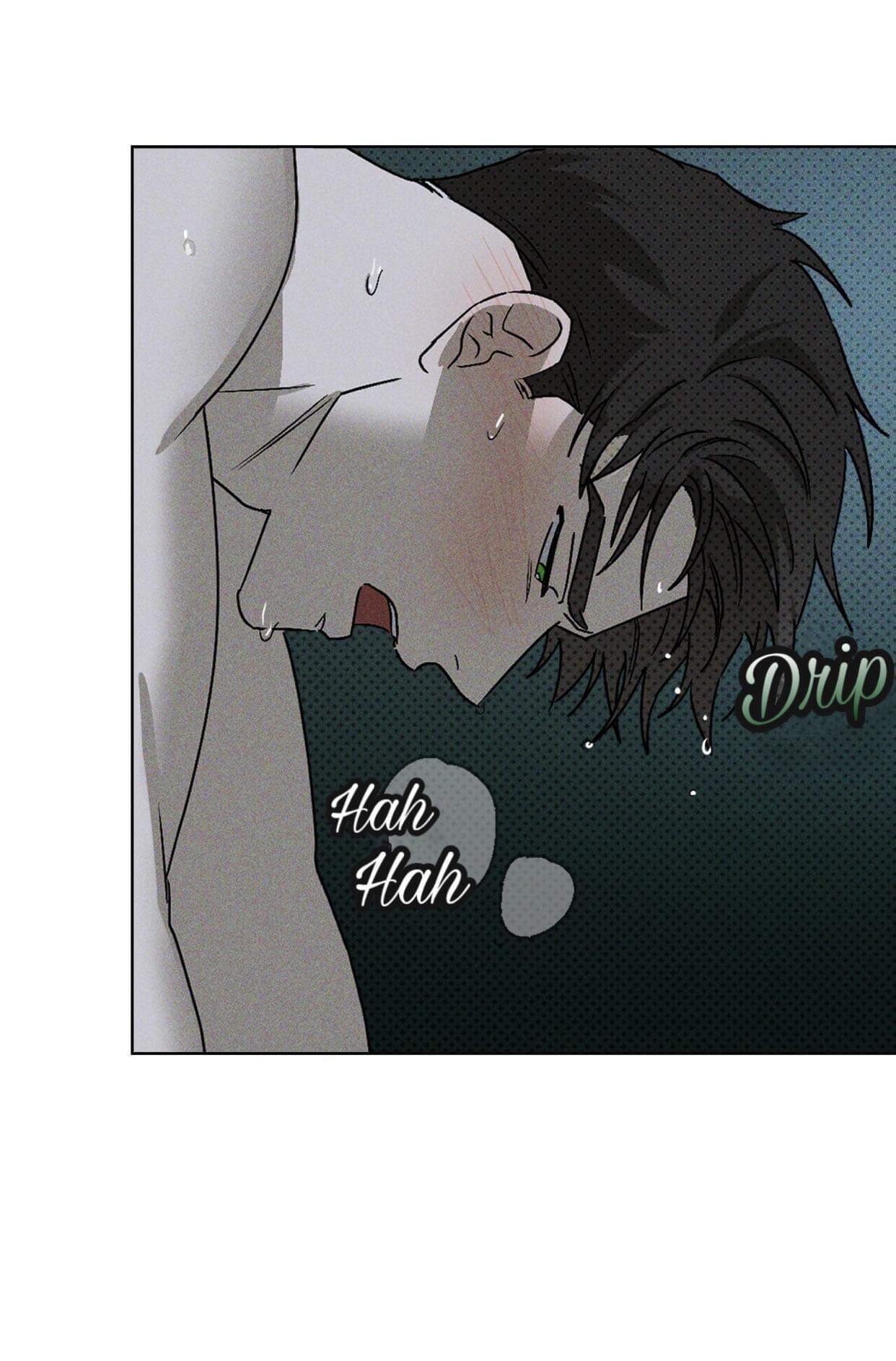 Page 41 of Chapter 15