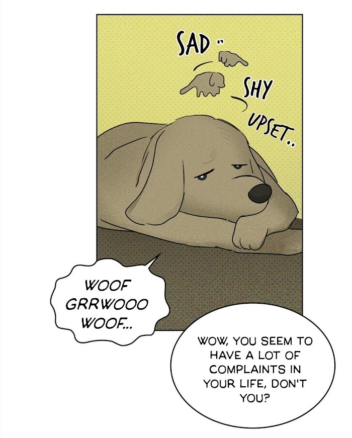 Page 25 of Chapter 26
