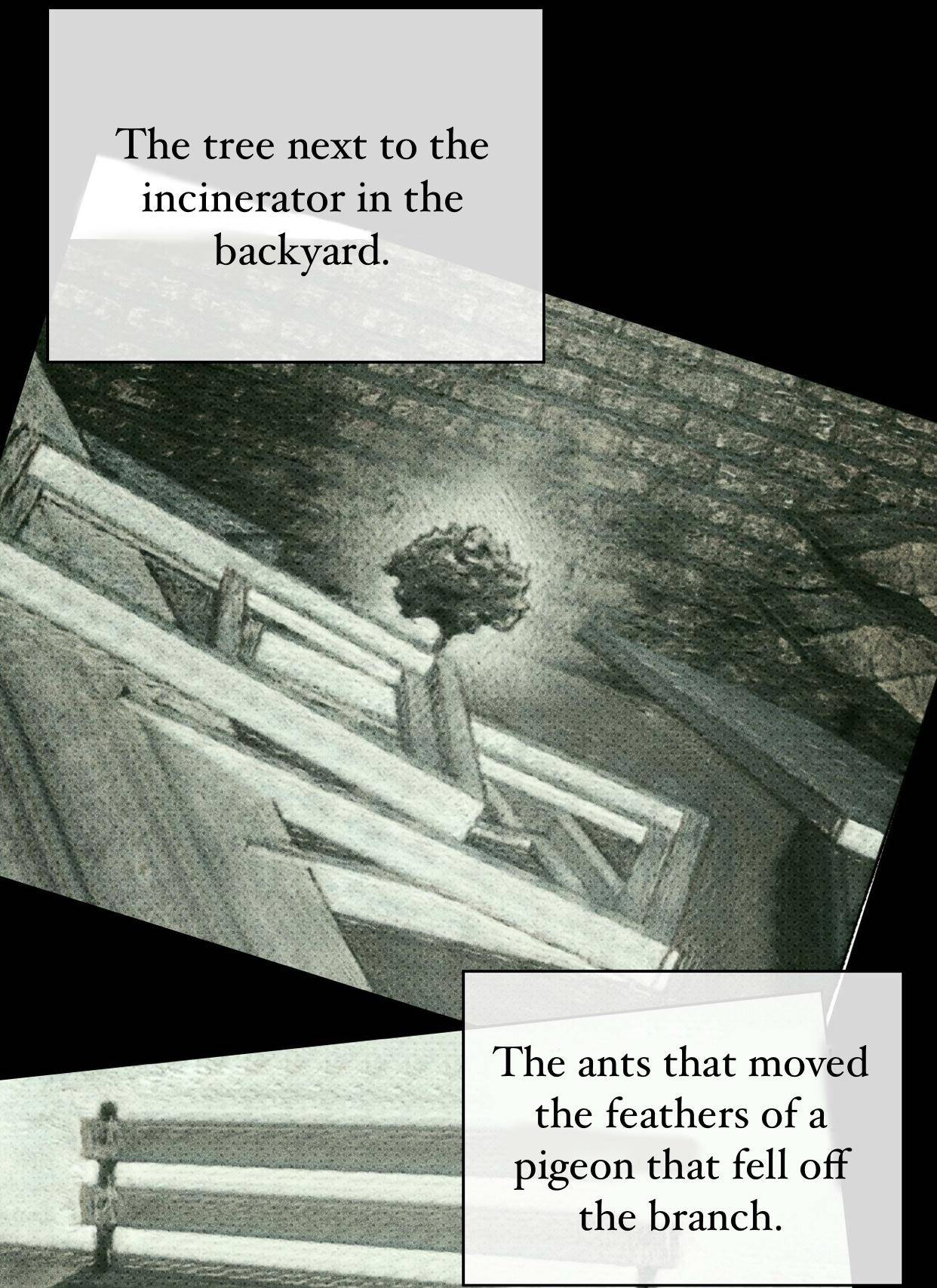 Page 16 of Chapter 37
