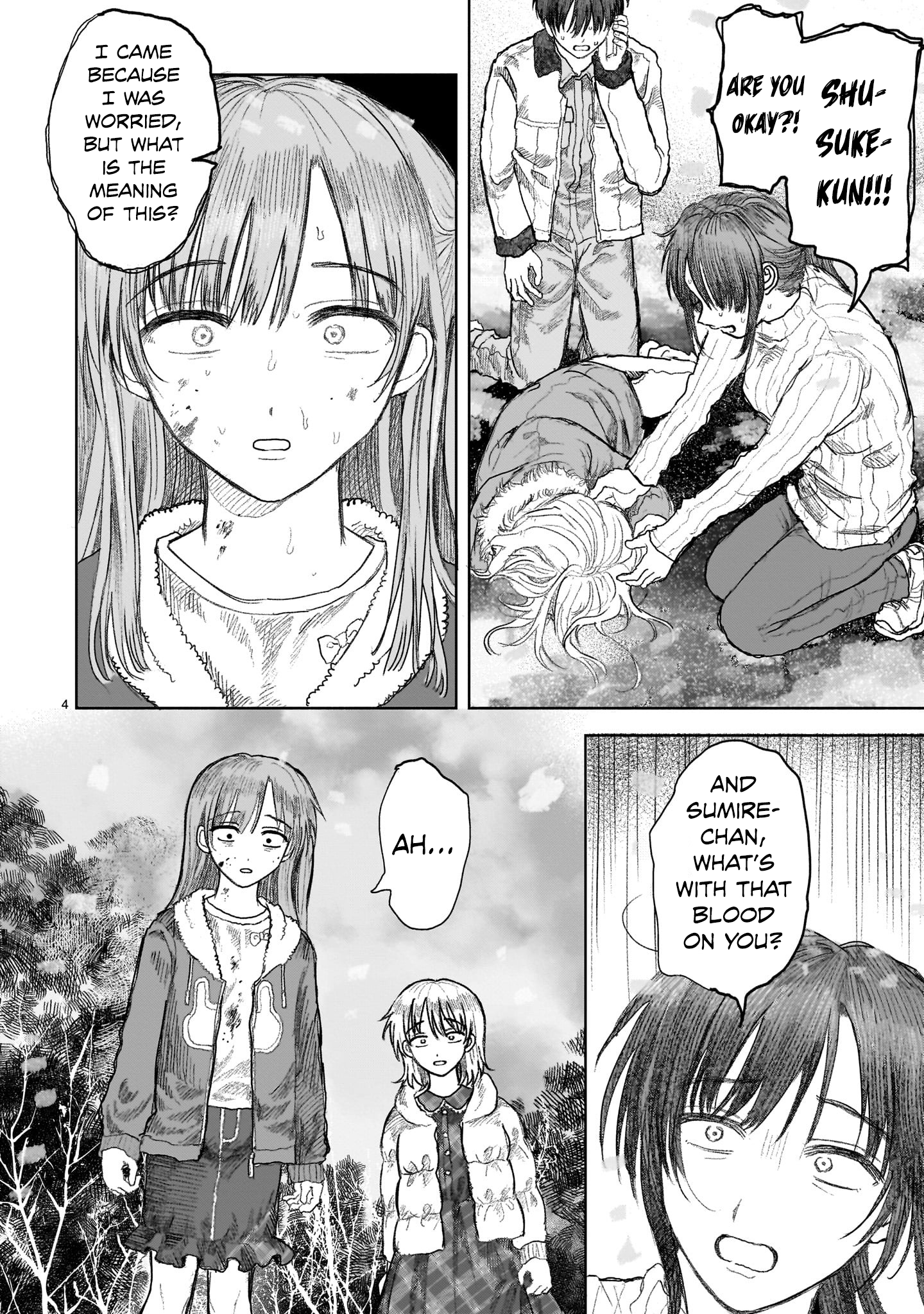 Page 4 of Chapter 12