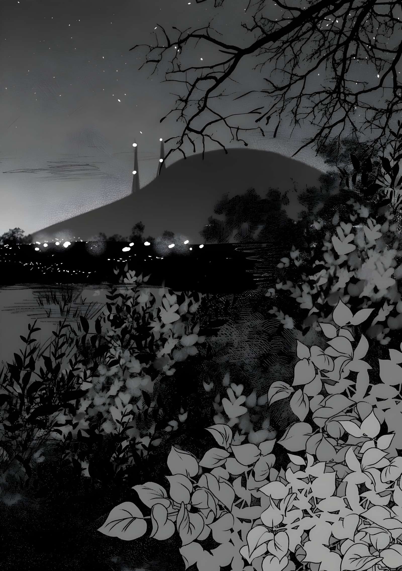 Page 38 of Chapter 15