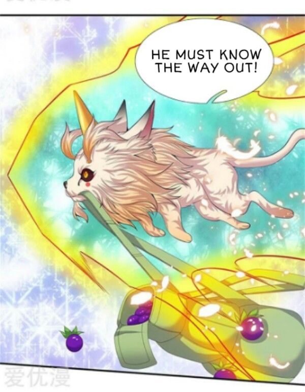 Page 14 of Chapter 81