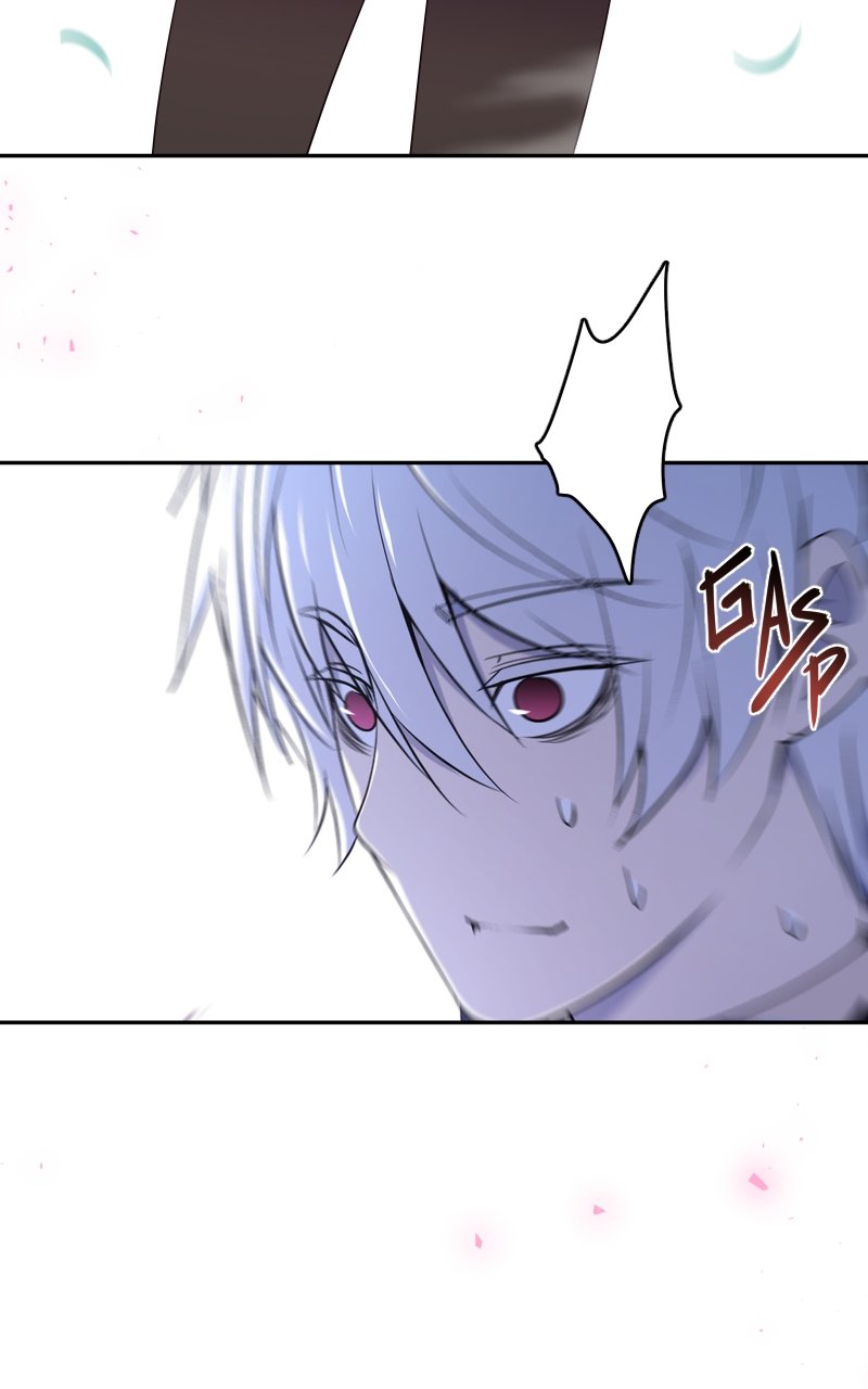 Page 41 of Chapter 17