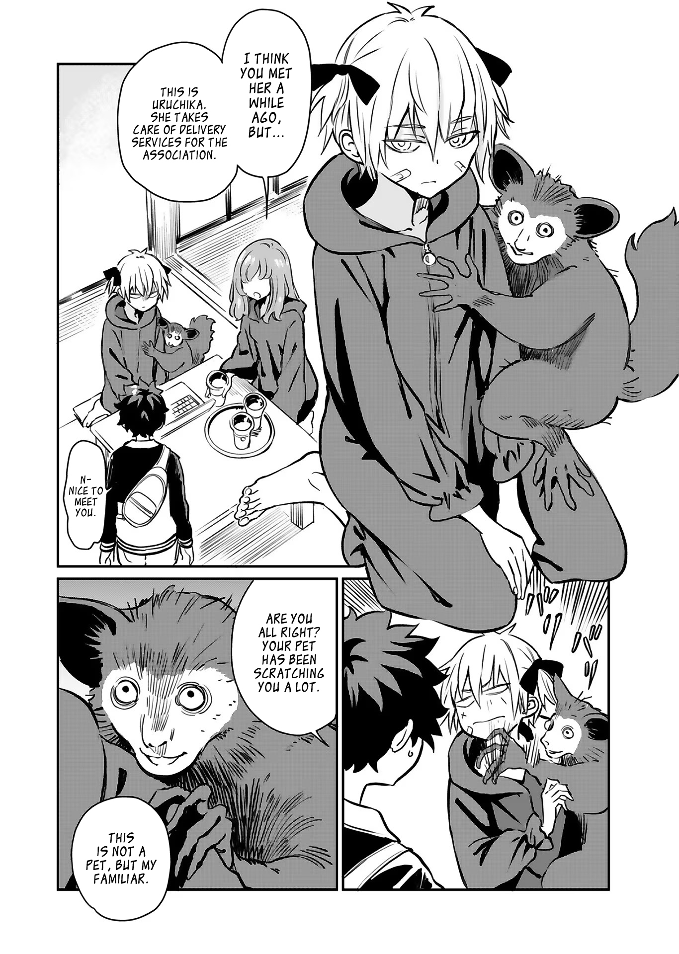 Page 4 of Chapter 17