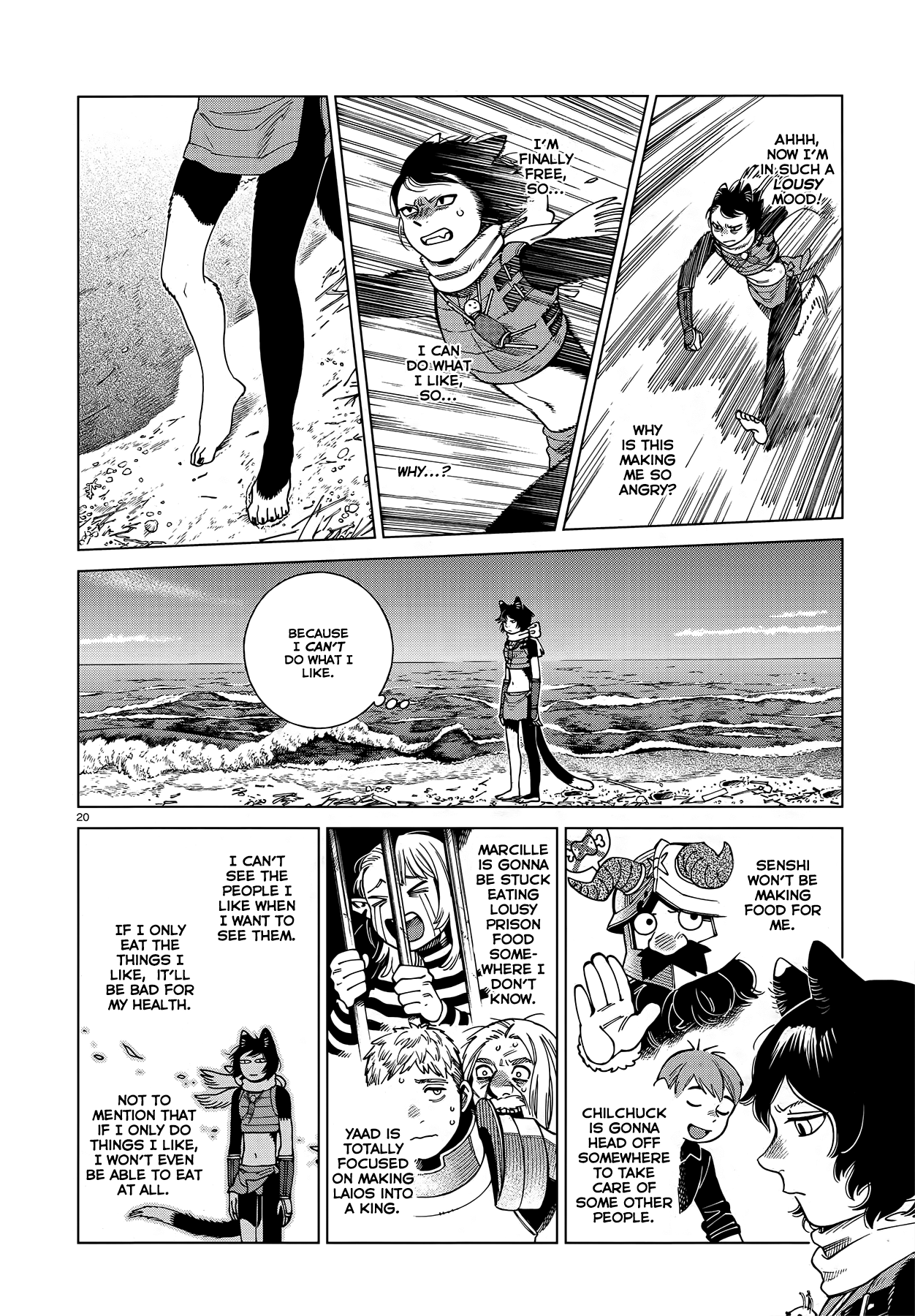 Page 20 of Chapter 95