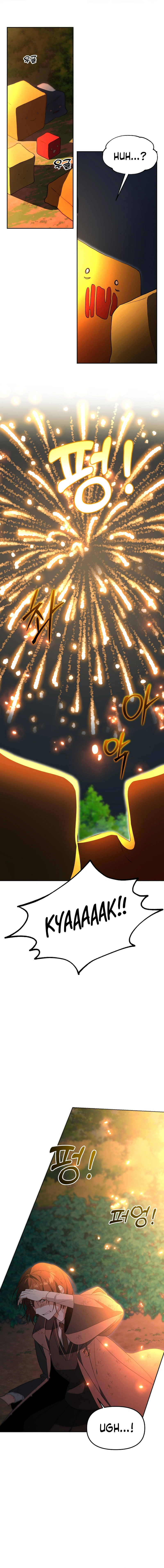 Page 13 of Chapter 6