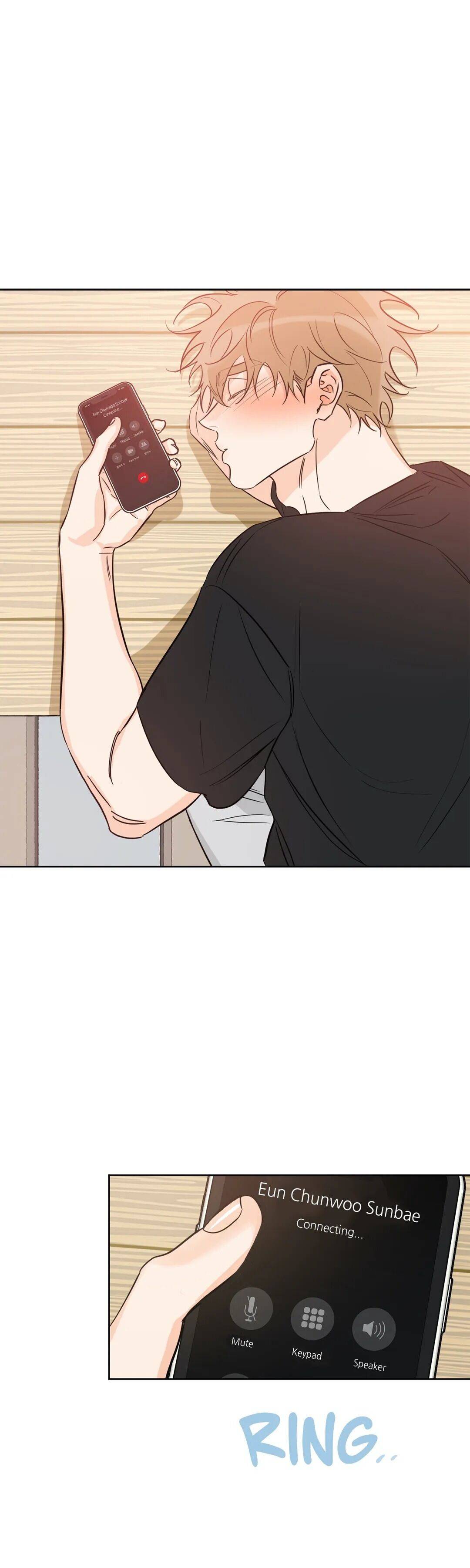 Page 20 of Chapter 20